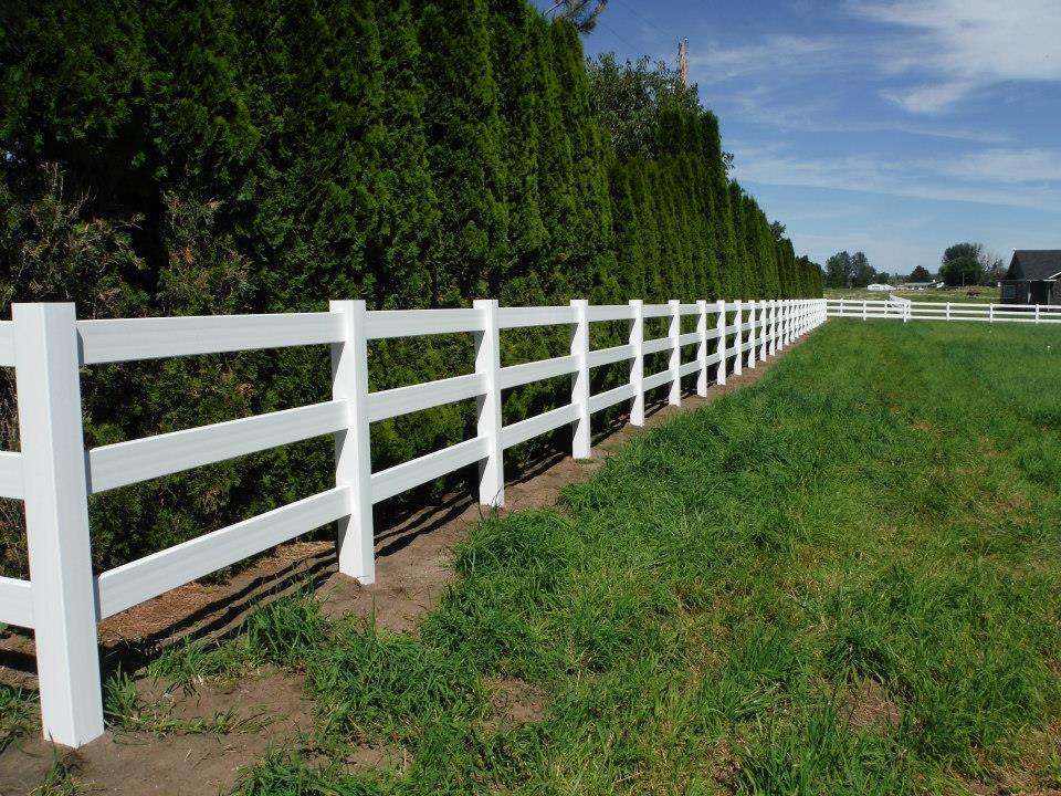 Backyard 3 Rail Vinyl Fence